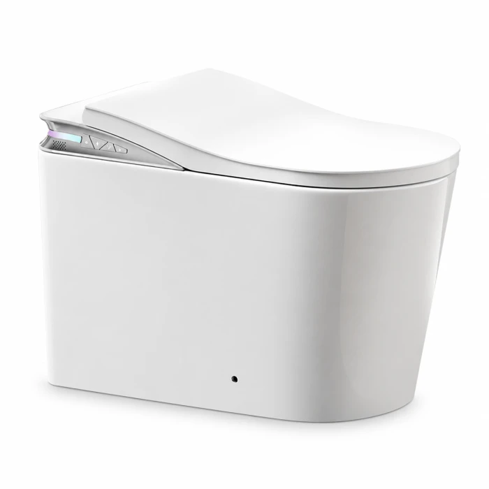 Regio Smart Toilet