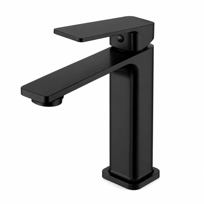 Regio Minerva Series Wall Mixer with Spout