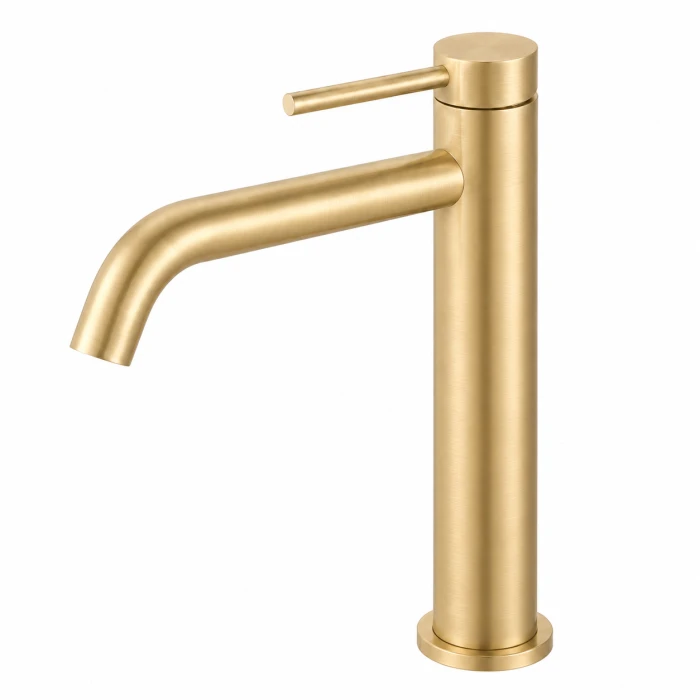 Regio Vivid Series Tall Basin Mixer