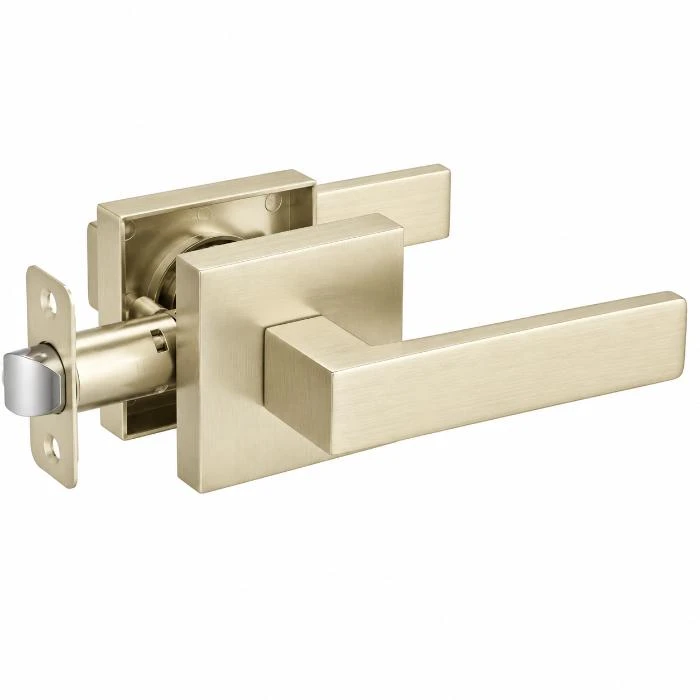 Regio Modern Square Entrance Door Handle