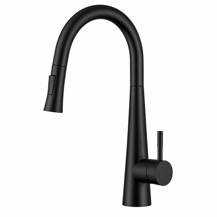 Regio Pull-Out Kitchen Mixer Tap
